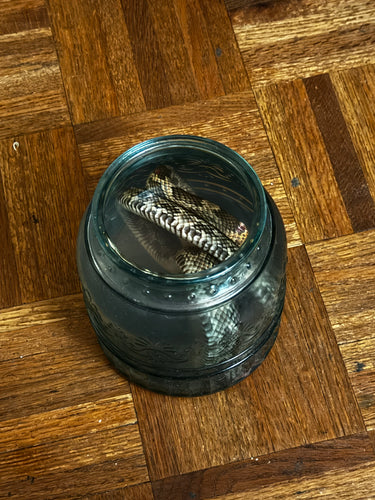 Products – Coil and Bloom Conjure